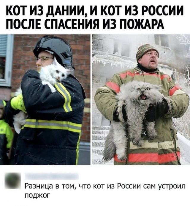 Картинки и мемы для настроения 26.08.2021