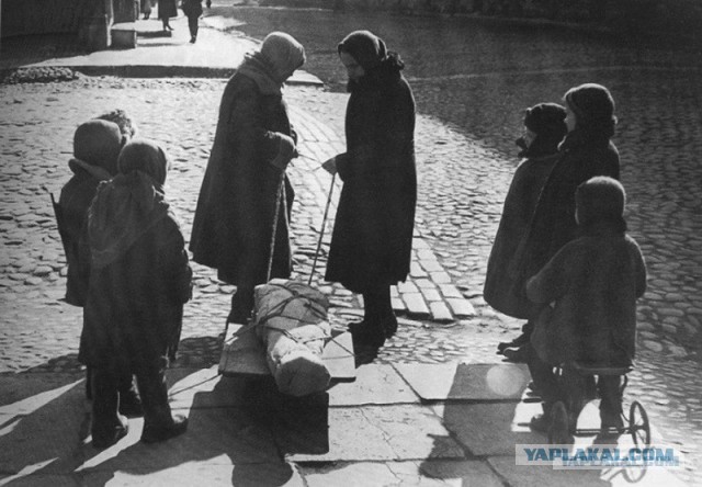 Зачем помнить ужасы войны?
