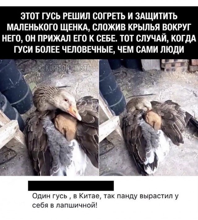 Чуток картинок 15.09.21