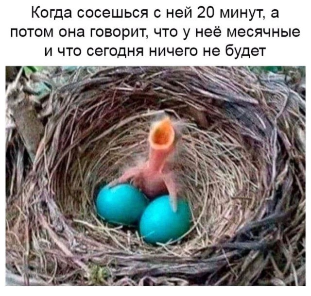 Пятница. И немного слегка пошлых картинок с надписями и без 16+ (17.09))