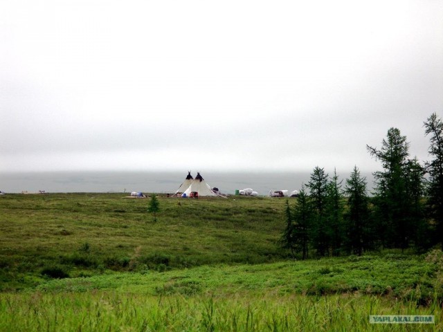 Просто природа, северная