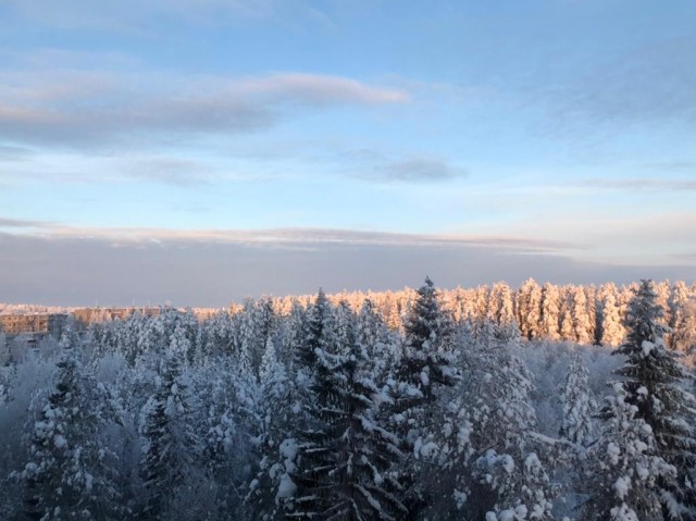 Не корона, не куркод, не казахи. Глянь на снежную сказку