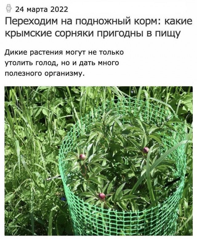 Пандемия. Коронавирус и съехавшие крыши. Россия и мир. Часть 31.