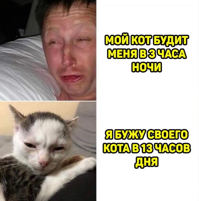 Весёлый полтишок 20.04.22