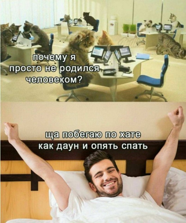 50 оттенков серого. Vol.15 Или самосвал баянов