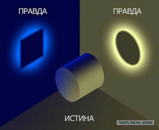 Про "беззащитную" девушку которую собачник пнул по голове