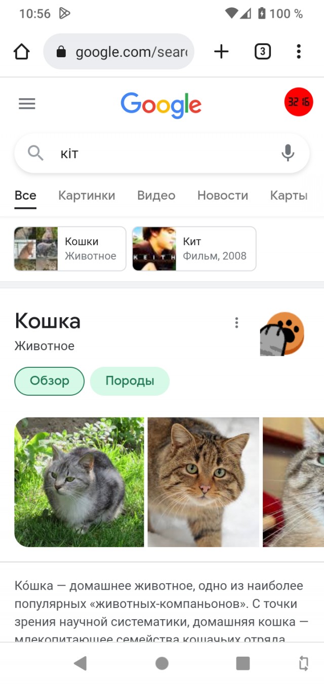 Пасхалка из Google