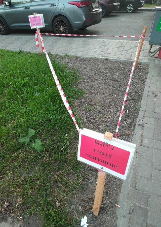 Про грибы и немного собаки