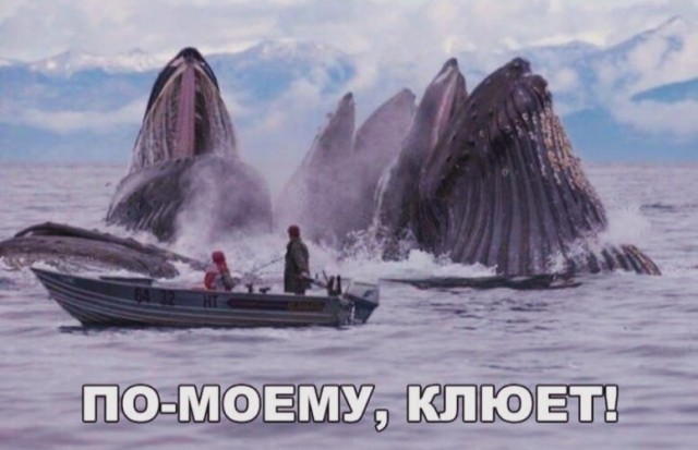 Юмор в картинках и без