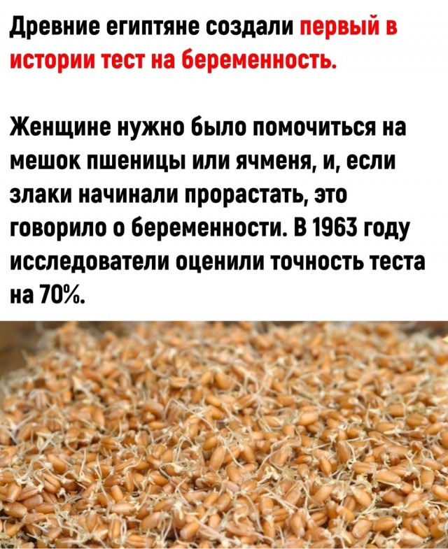 Так себе картинки 17.12.22