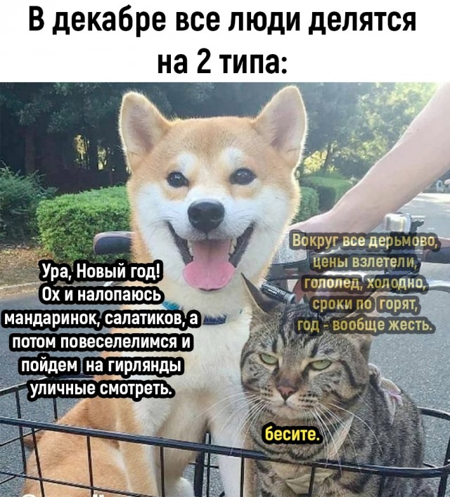 Так себе картинки 24.12.22