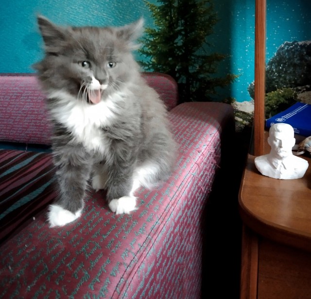 Как я попал в рабство