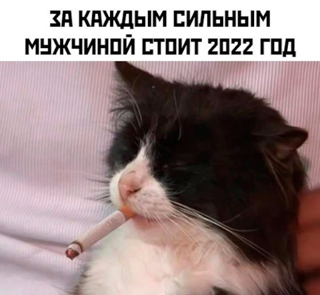Картинки и мемы, выходные продолжаются