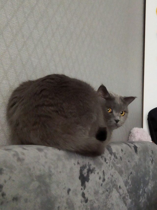 Совпало же? В котовторник