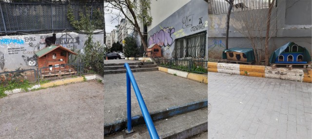 Отношение к кошкам в Турции