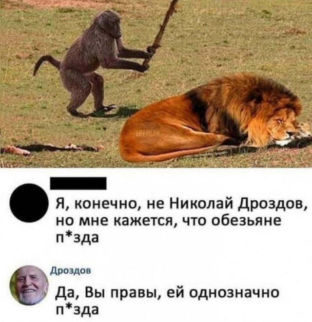 Фотосессия Николая Николаевича Дроздова