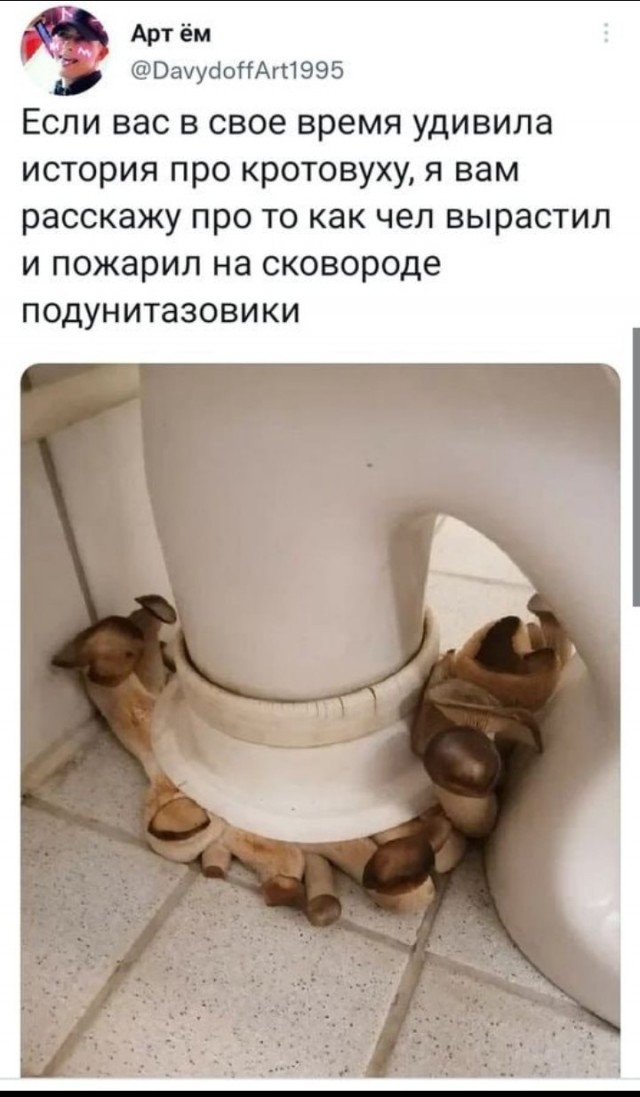 Депутат из Красноярского края отравился мухоморами в Москве.