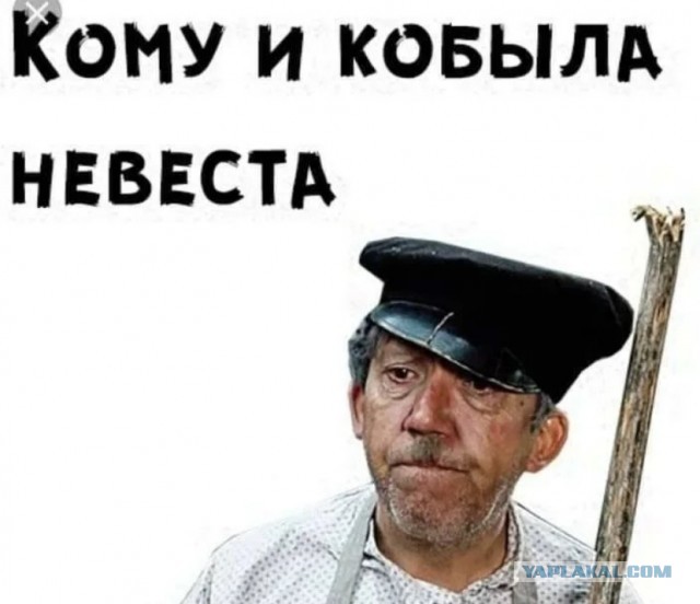 Манчестерские барышни в активном поиске