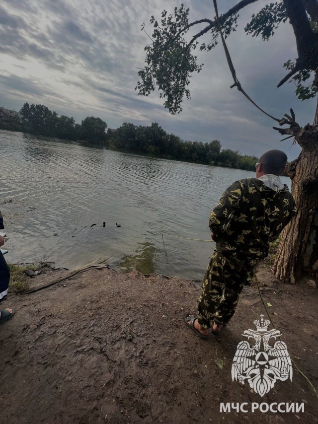 15-летняя девушка-подросток утонула в озере в Казани после того, как на нее с "тарзанки" упал парень