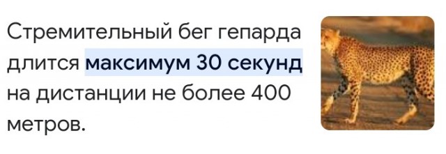 Животные, которых природа наградила нестандартными и необычными лапами