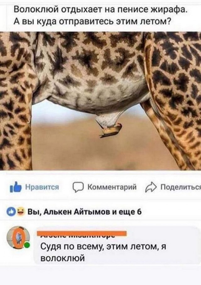 Лукуста — отравительница императоров, которую казнили через изнасилование жирафом