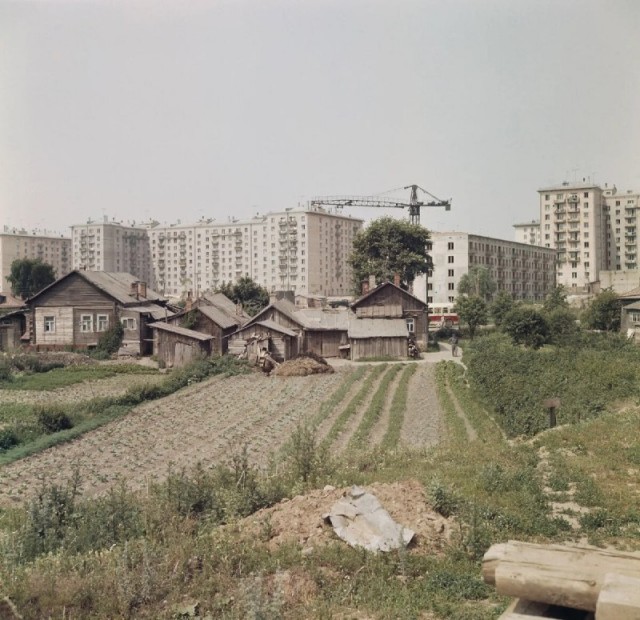 Москва и москвичи. Двадцатый век
