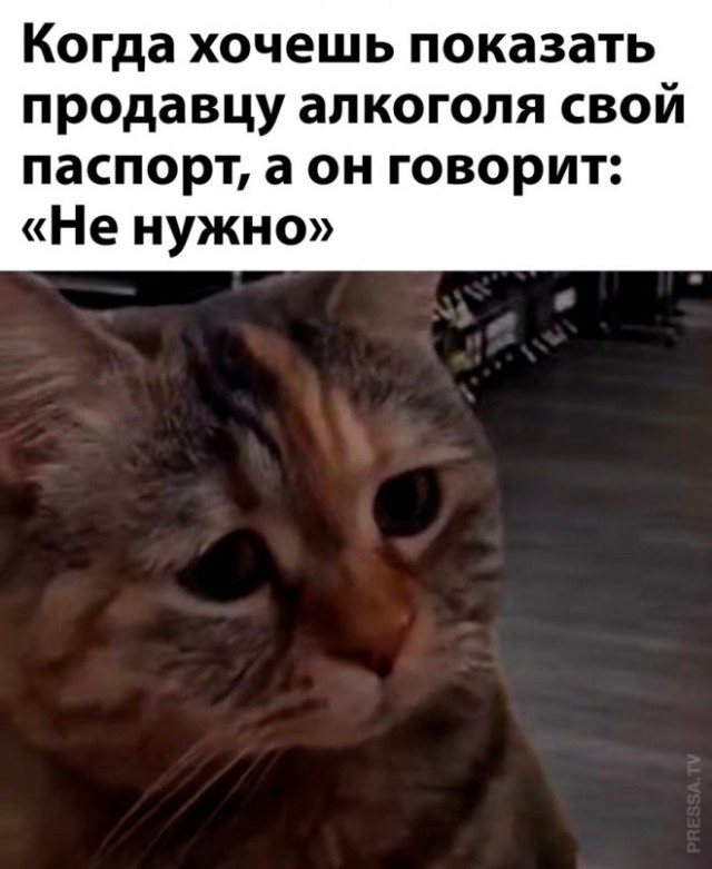Просто картинки из сети