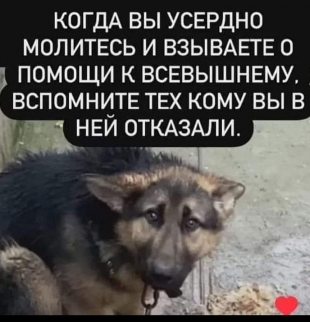 Еще один найденыш.