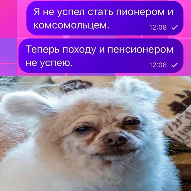 Весёлый полтишок 05.01.24