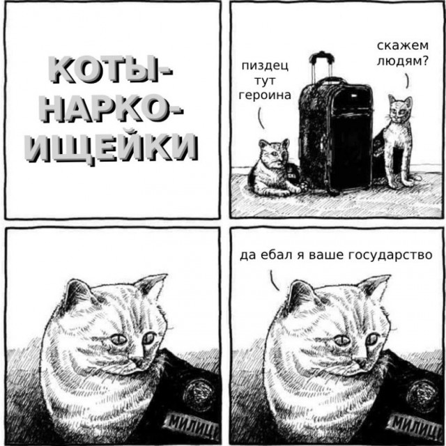 Чёрно-пошлая деградация