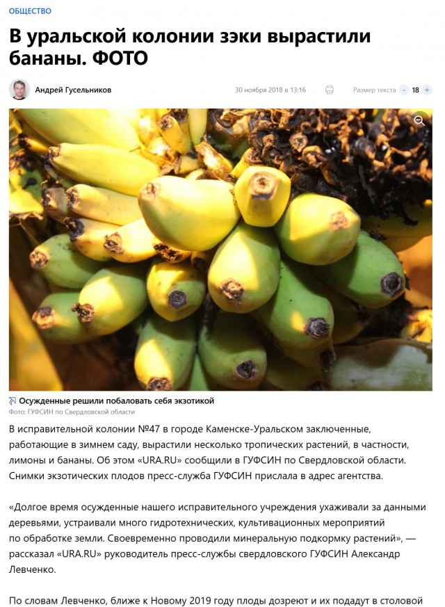 В Латвии активистку Елену Крейле приговорили к 3 годам тюрьмы за демонстрацию в окне российского флага