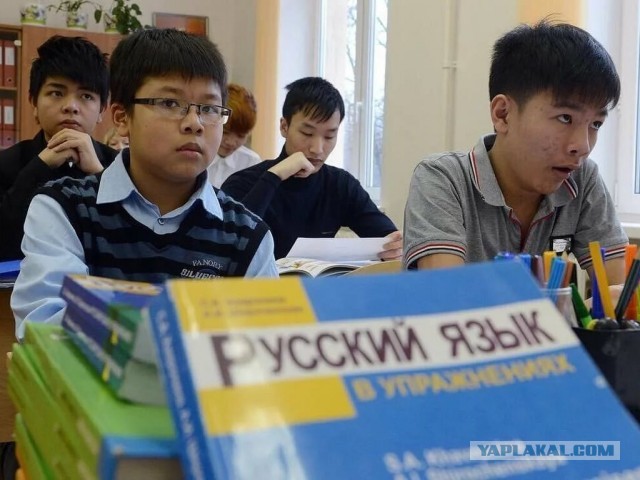 Рособрнадзор поддержал проверку русского у детей мигрантов перед школой