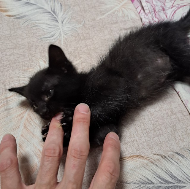 Первый кусь!