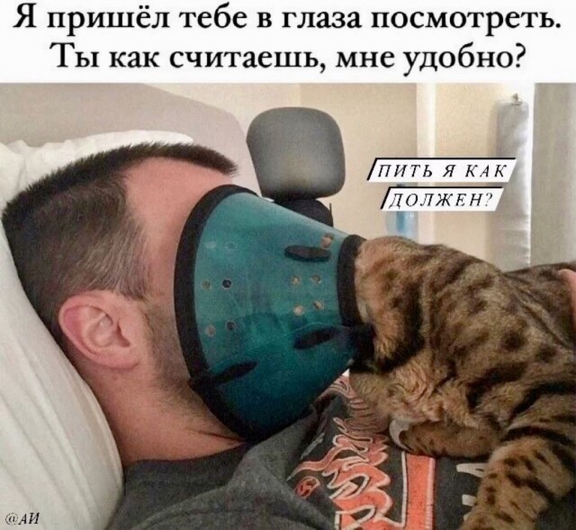 Завалялось тут случайно немного забавных картинок