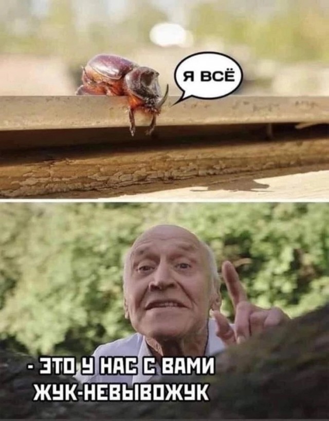 Картинки разные с надписями и без