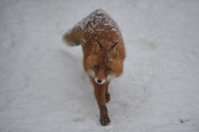 Россиянка стала бояться воды, а при попытке попить у неё начинались судороги — спустя несколько дней она умерла.
