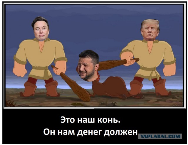 Так себе картинки 25.02.25