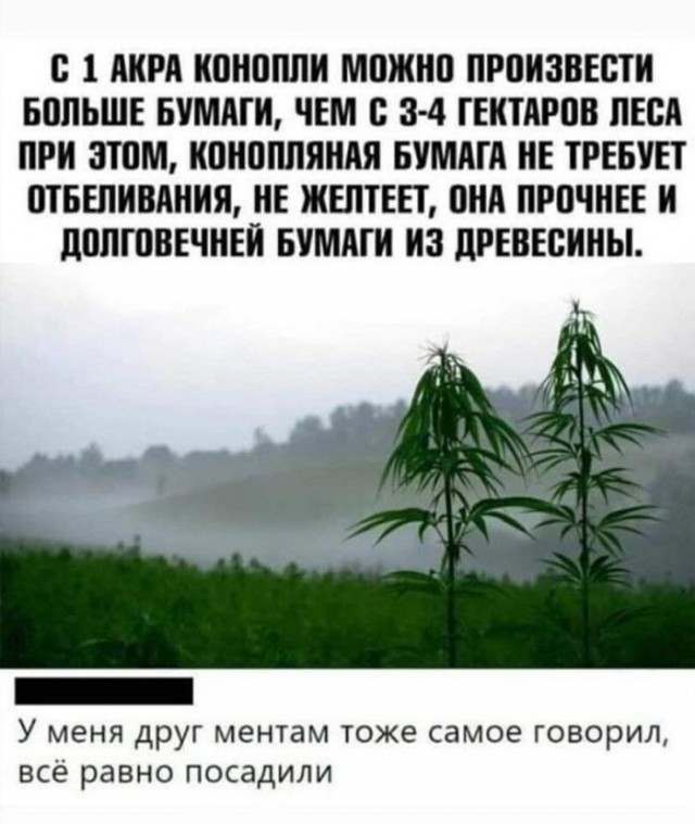 Что такое гектар своей земли