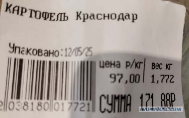 Цены пробили потолок. Какой картофель лежит на полках московских магазинов, сколько стоит и когда подешевеет