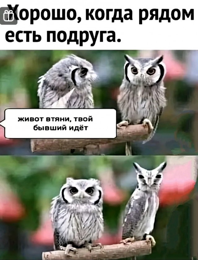 Завалялось тут случайно немного забавных картинок