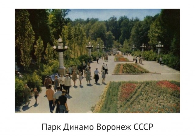Парк собирает друзей