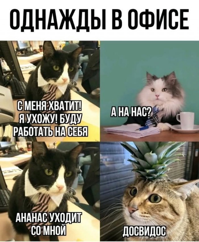 Маленькая пятница 18.06