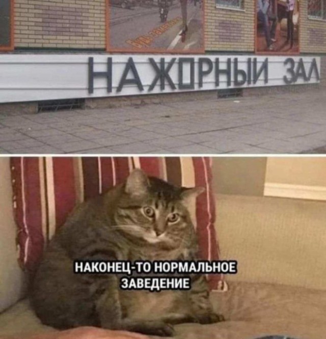 Так себе картинки 23.06.25