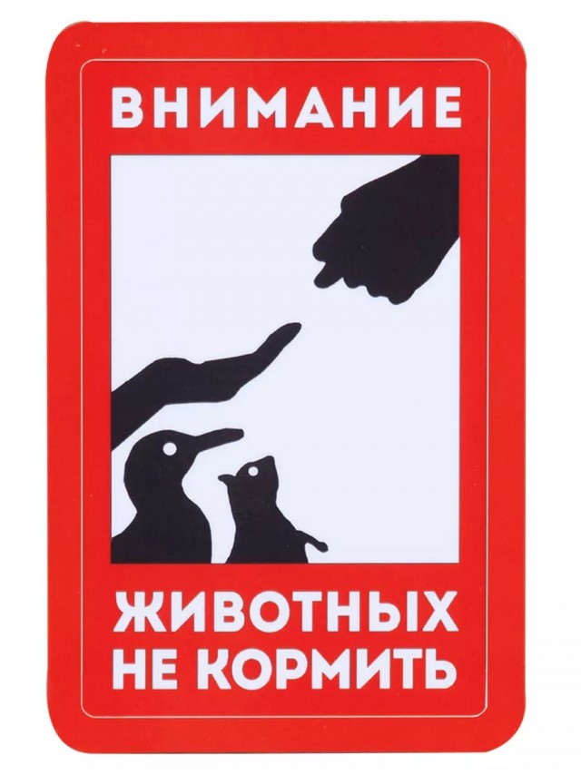 Социальное неравенство