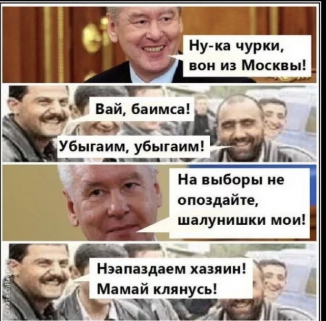 Обезьяна пнула машину с полицейскими и спокойно ушла