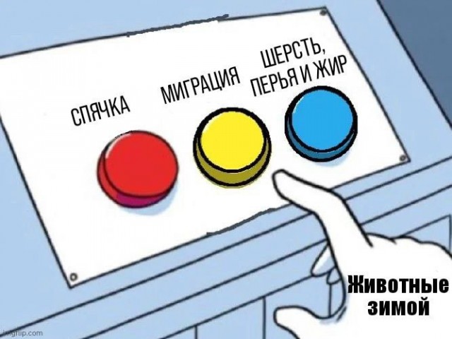 Картинки для деградации 53 (разной степени свежести)