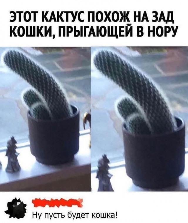 Картинки для деградации 61 (разной степени свежести)