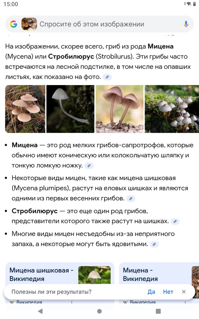 я опять за советом ..