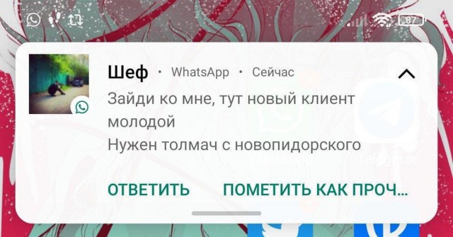 «Назад в СССР»: в Одинцове открыли бар, оформленный под подъезд советской хрущевки