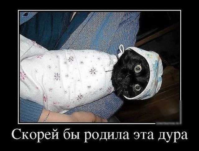 Когда работает профессионал